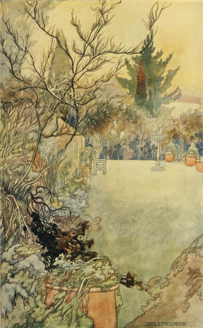 garden image304