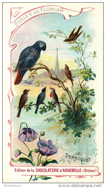 le-perroquet-florian