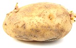 800px-Russet_potato_cultivar_with_sprouts