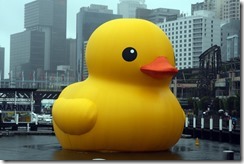 Rubber_Duck_(8374802487)