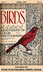 Photo of Bird Book