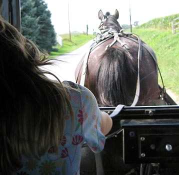 Photo of Amish Buggy