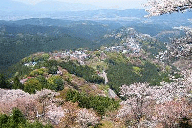 Photo of Mountains with Cherry Blossoms