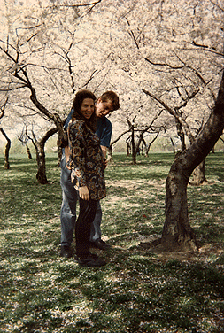 Cherry Blossom Photo