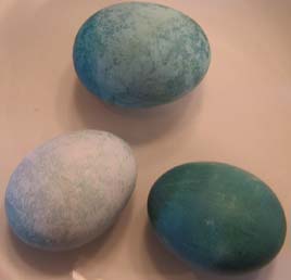 Photo of Eggs Dyed Naturally Blue