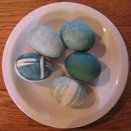 Photo of Eggs Dyed Naturally Blue