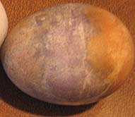 Photo of Eggs Dyed Naturally Purple