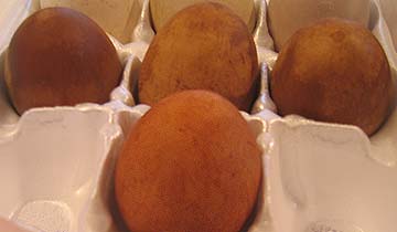 Photo of Eggs Dyed Naturally Brown