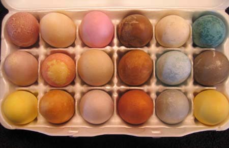 Photo of Dyed Eggs