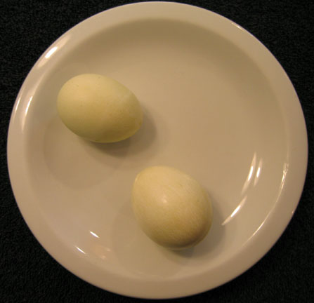 Photo of Eggs Dyed Naturally Green