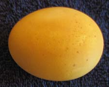 Photo of Eggs Dyed Naturally Yellow