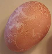 Photo of Eggs Dyed Naturally Pink