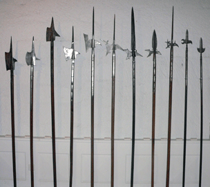 Photo of Halberds