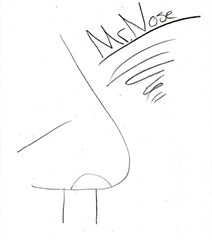 Drawing of a Nose