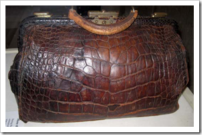 Susan B. Anthony's Alligator Purse