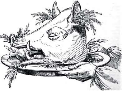 Illustration of Boar's Head