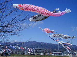 Photo of Koinobori - Carp Windsocks in Japan