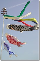 koinobori4797