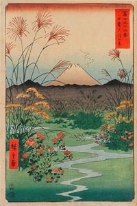 mt_fuji_hiroshige