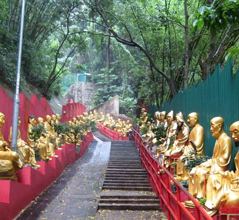 Photos of the 10000 Buddhas