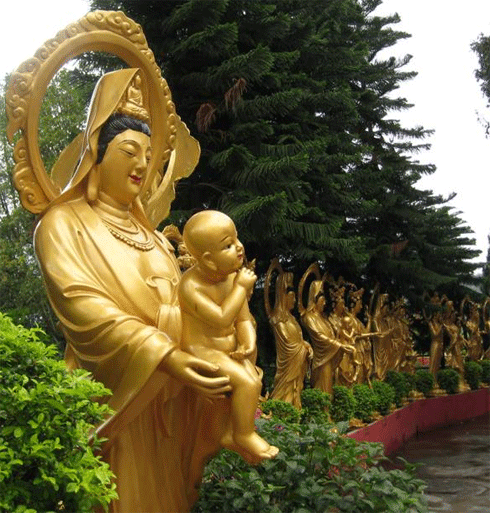 Photos of the 10000 Buddhas