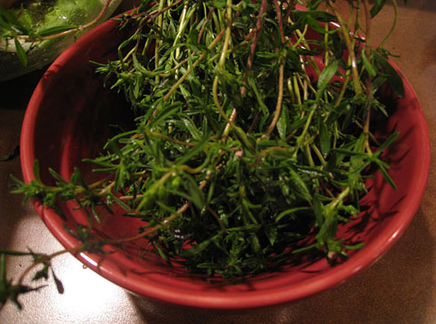 Photo of Herbs