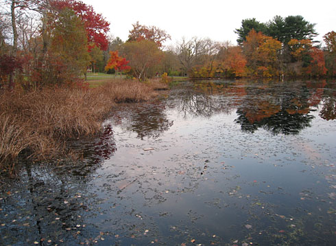 Photos of Autumn Lake