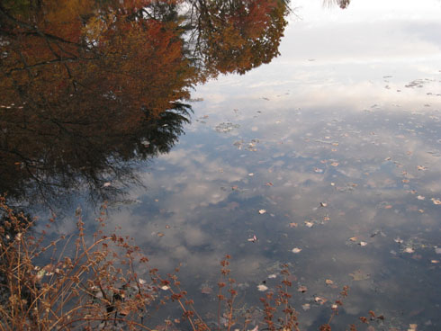 Photos of Autumn Lake