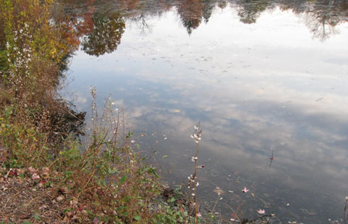 Photos of Autumn Lake