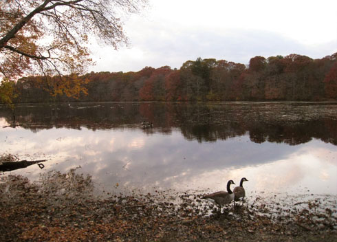 Photos of Autumn Lake