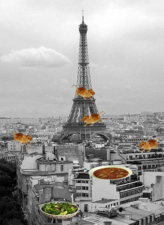 Mice in Paris