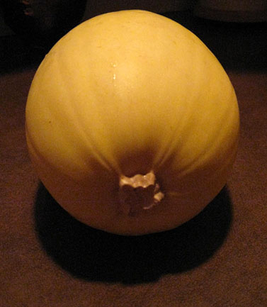 Photo of Spaghetti Squash