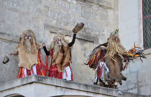 Carnival Photos in Occitania