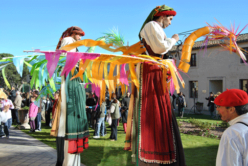 Carnival Photos in Occitania