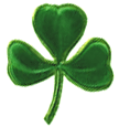 Picture of a Three Leaf Clover