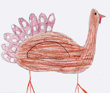 Drawing of a Turkey