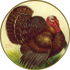 vintage-thanksgiving-clipart-turkey-in-circle