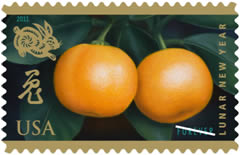 Picture of the US Year of Rabbit Stamp 2011