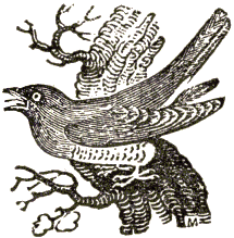 The Cuckoo's a Fine Bird - Canciones infantiles inglesas - Inglaterra - Mamá Lisa's World en español: Canciones infantiles del mundo entero  - Intro Image