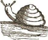 Snail! Snail! Come Out of Your Hole - Chansons enfantines anglaises - Angleterre - Mama Lisa's World en français: Comptines et chansons pour les enfants du monde entier  - Intro Image