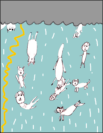Drawing of Raining Cats and Dogs
