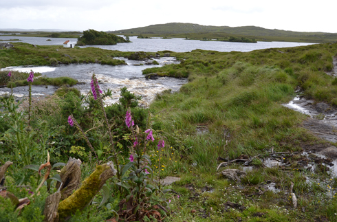 Connemara Cradle Song  - Irish Children's Songs - Ireland - Mama Lisa's World: Children's Songs and Rhymes from Around the World 1