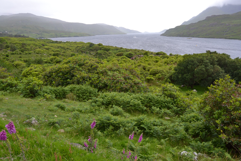 Connemara Cradle Song  - Irish Children's Songs - Ireland - Mama Lisa's World: Children's Songs and Rhymes from Around the World  - Intro Image