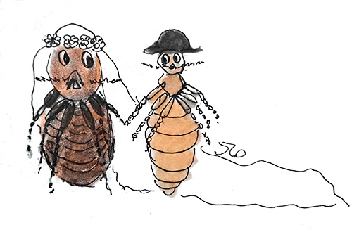 El piojo y la pulga <br />(The Flea and The Louse)