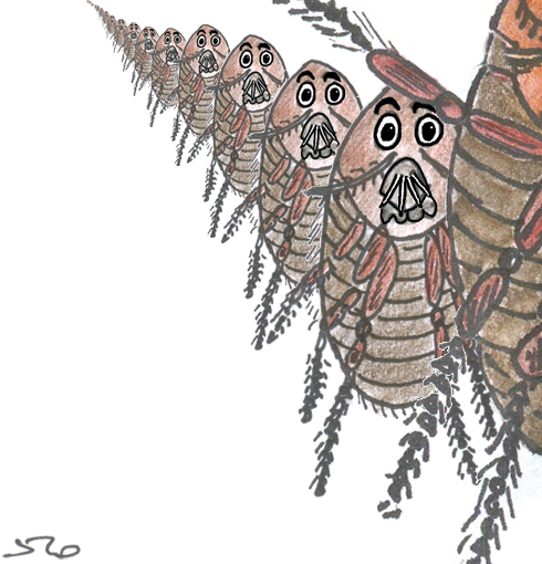 Great Fleas Have Little Fleas upon Their Backs - English Children's Songs - England - Mama Lisa's World: Children's Songs and Rhymes from Around the World - Intro Image Great Fleas Have Little Fleas upon Their Backs - English Children's Songs - England - Mama Lisa's World: Children's Songs and Rhymes from Around the World - Intro Image