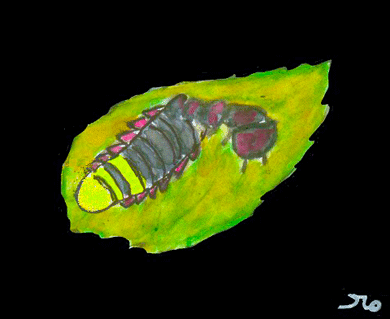 A Glow-worm - American Children's Songs - The USA - Mama Lisa's World: Children's Songs and Rhymes from Around the World - Intro Image A Glow-worm - American Children's Songs - The USA - Mama Lisa's World: Children's Songs and Rhymes from Around the World - Intro Image