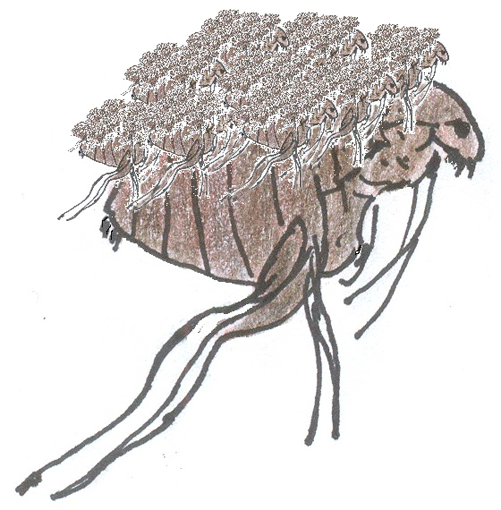 Great Fleas Have Little Fleas upon Their Backs - English Children's Songs - England - Mama Lisa's World: Children's Songs and Rhymes from Around the World 1 Great Fleas Have Little Fleas upon Their Backs - English Children's Songs - England - Mama Lisa's World: Children's Songs and Rhymes from Around the World 1
