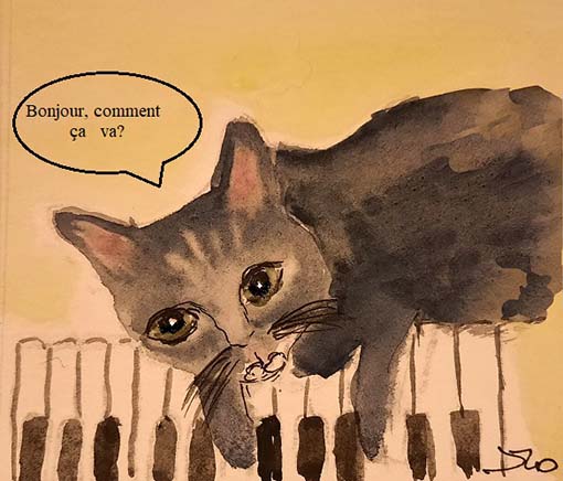O gato maltês - Chansons enfantines portugaises - Portugal - Mama Lisa's World en français: Comptines et chansons pour les enfants du monde entier  - Intro Image