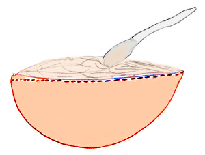 Arroz con leche - Canciones infantiles costarricenses - Costa Rica - Mamá Lisa's World en español: Canciones infantiles del mundo entero  - Intro Image