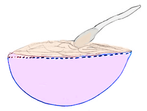 Arroz con leche<br />(Riz au lait)